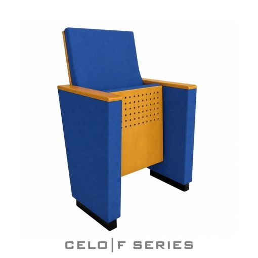  auditorium_seats_iraq