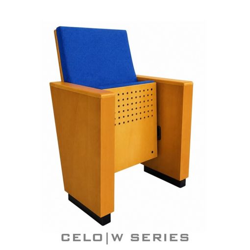  auditorium_seats_iraq