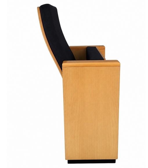  auditorium_seating